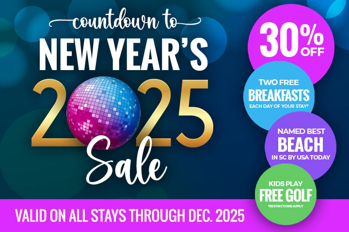 Countdown to New Year's Sale - 30% OFF